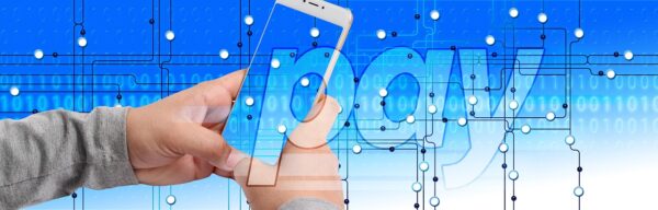 Beyond Bitcoin: Cryptos Emerging Niche Markets