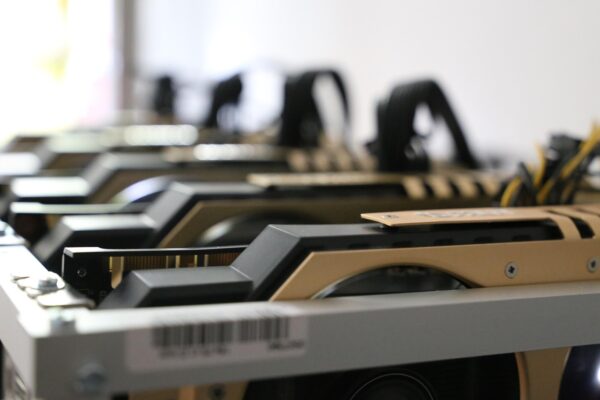 Decoding Crypto: Optimizing Portfolios For The Next Bull Run