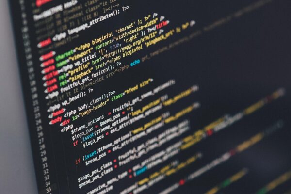 Beyond Unicorns: Building Sustainable Tech Startup Futures