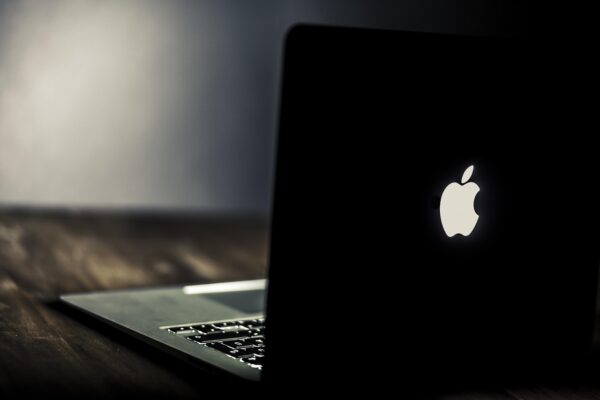 Beyond Spreadsheets: Productivity Tools Reshaping Work