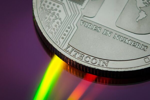 Beyond Bitcoin: Untapped Crypto Niches For 2024.
