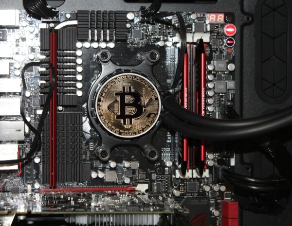 Beyond Bitcoin: Altcoins Leading The Crypto Bull Charge