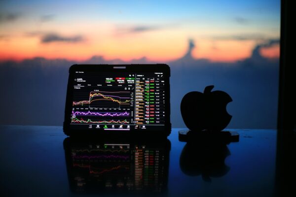 Beyond Bitcoin: Unearthing Altcoin Gems In A Bear Market
