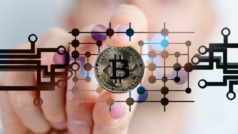 Beyond Bitcoin: Crafting A Resilient Crypto Portfolio