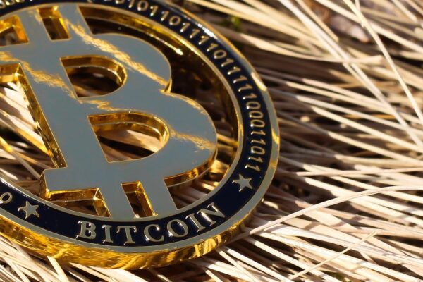 Beyond Bitcoin: Altcoins Reshaping Finance Or Risky Gamble?