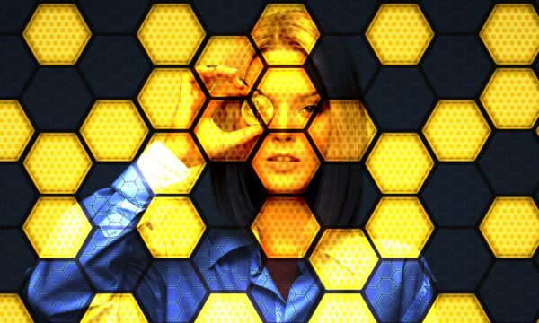 Decoding Crypto Volatility: Mastering Algorithmic Trading